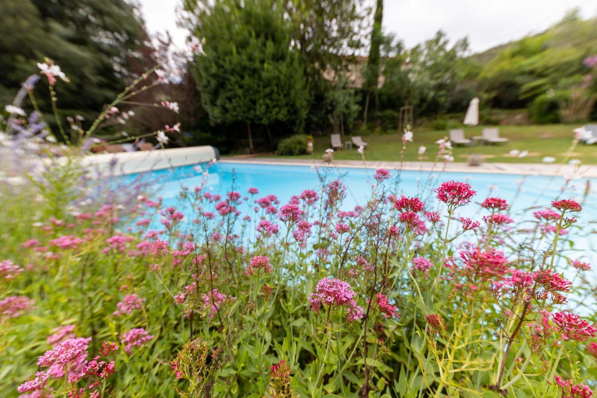 Hotel Le Mas Trilles Ceret Luaran gambar